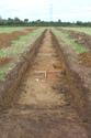 Thumbnail of Trench 47 looking N