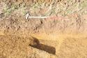 Thumbnail of Ditch 4302 looking NE