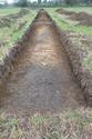 Thumbnail of Trench 38 looking SW