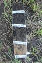 Thumbnail of Monolith sample 112 from 37 (deposits 3701, 3702 and 3710)