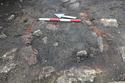 Thumbnail of Hearth/oven 3909 looking E