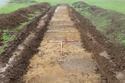 Thumbnail of Trench 82 looking W