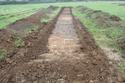 Thumbnail of Trench 62 looking SE