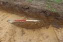 Thumbnail of Ditch 6009 looking E