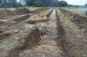 Thumbnail of Trench 42 looking NW