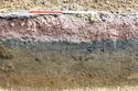 Thumbnail of Trench 1: representaqtive section looking E