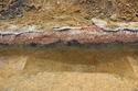 Thumbnail of Ditch 205 looking W