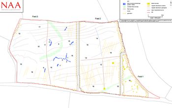 Point Lane, Cosheston, Pembrokeshire: interpretation of gradiometer survey results (report Figure 5).