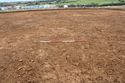 Thumbnail of Pre-excavation, overall shot facing south. From Archaeological Recording at West of Culworth, Northamptonshire, England.