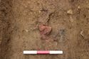 Thumbnail of In situ photo of pottery in pit [1012], facing north. From Archaeological Recording at West of Culworth, Northamptonshire, England.