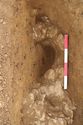 Thumbnail of Geological feature in post-hole [1054], looking west. From Archaeological Recording at West of Culworth, Northamptonshire, England.