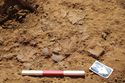 Thumbnail of In situ shot of pottery from pit/post-hole [1032]. From Archaeological Recording at West of Culworth, Northamptonshire, England.