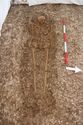Thumbnail of Photo 002249 W facing record shot of skeleton (605037) no board.
