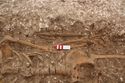 Thumbnail of Photo 002250 N facing detail shot of skeleton (605037) no board.