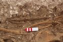 Thumbnail of Photo 002251 Close up of N facing detail shot of skeleton (605037) no board.