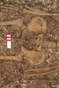 Thumbnail of Photo 002255 W facing detail shot of skeleton (605037) no board.