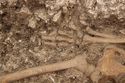 Thumbnail of Photo 002260 S facing detail shot of skeleton (605037) no board.