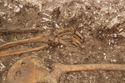 Thumbnail of Photo 002262 N facing detail shot of skeleton (605037) no board, no scale.