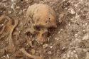 Thumbnail of Photo 002263 S facing detail shot of skeleton (605037) no board, no scale.