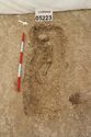 Thumbnail of Photo 004922 SW facing record shot of skeleton in grave (605223).
