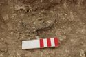 Thumbnail of Photo 004924 detail shot of small find 660 (605223) no board.