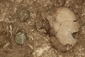 Thumbnail of Photo 004933 Detail of skull and small find (605223) no board, no scale.