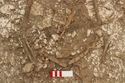 Thumbnail of Photo 005067 Detail of belt small find 673-677 (605198) no board.