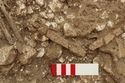 Thumbnail of Photo 005068 Detail of belt, small find 674 (605198) no board.