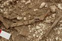 Thumbnail of Photo 005069 Detail of belt, small find 674 (605198) no board.