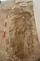 Thumbnail of Photo 005338 Skeleton 605230 overview