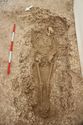 Thumbnail of Photo 005339 Skeleton 605230 overview no board