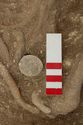 Thumbnail of Photo 005343 Skeleton 605230 coin