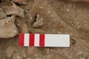 Thumbnail of Photo 005345 Skeleton 605230 pendant