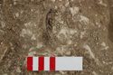 Thumbnail of Photo 005346 Skeleton 605230 pottery
