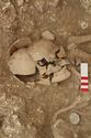 Thumbnail of Photo 005348 Skeleton 605230 skull detail