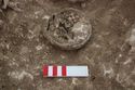 Thumbnail of Photo 005351 Skeleton 605230 brooch