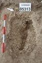 Thumbnail of Photo 005504 Skeleton 605313 overview