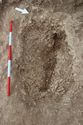 Thumbnail of Photo 005505 Skeleton 605313 overview no board