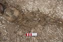 Thumbnail of Photo 005509 Skeleton 605313 upper body