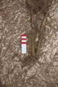Thumbnail of Photo 005511 Skeleton 605313 lower body