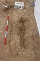 Thumbnail of Photo 005607 Skeleton 605315 overview