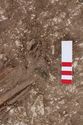 Thumbnail of Photo 005609 Skeleton 605315 feet