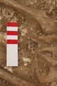 Thumbnail of Photo 006248 Skeleton 605240 knees