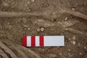 Thumbnail of Photo 006250 Skeleton 605240 and SF811