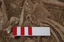 Thumbnail of Photo 006252 Skeleton 605240 and SF811