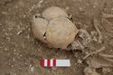 Thumbnail of Photo 006253 Skeleton 605240 brooch