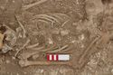 Thumbnail of Photo 006254 Skeleton 605240 skull