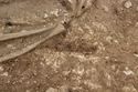 Thumbnail of Photo 006351 SF892 blade no board