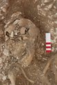 Thumbnail of Photo 006470 Skeleton 605347 skull
