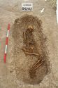 Thumbnail of Photo 006565 Skeleton 605282 overview